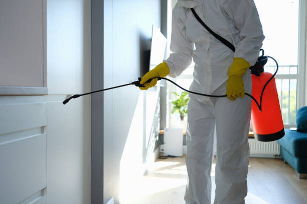 Best Black Mold Removal  in Berwyn, PA