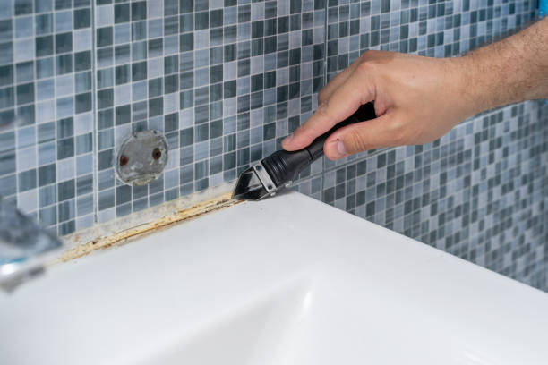 Best Best Mold Removal Companies  in Berwyn, PA